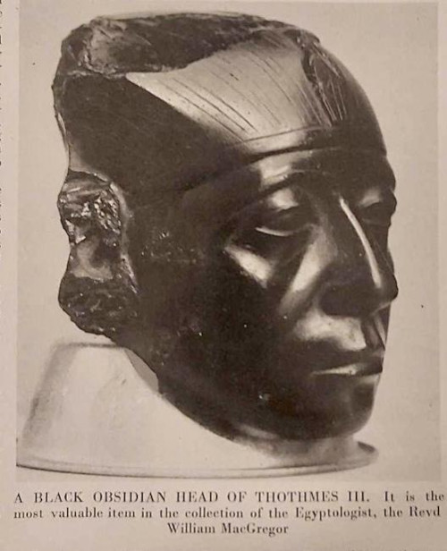Head Of Thothemes